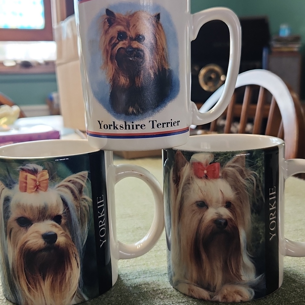 Yorkshire Terrier Mugs  Set of 3